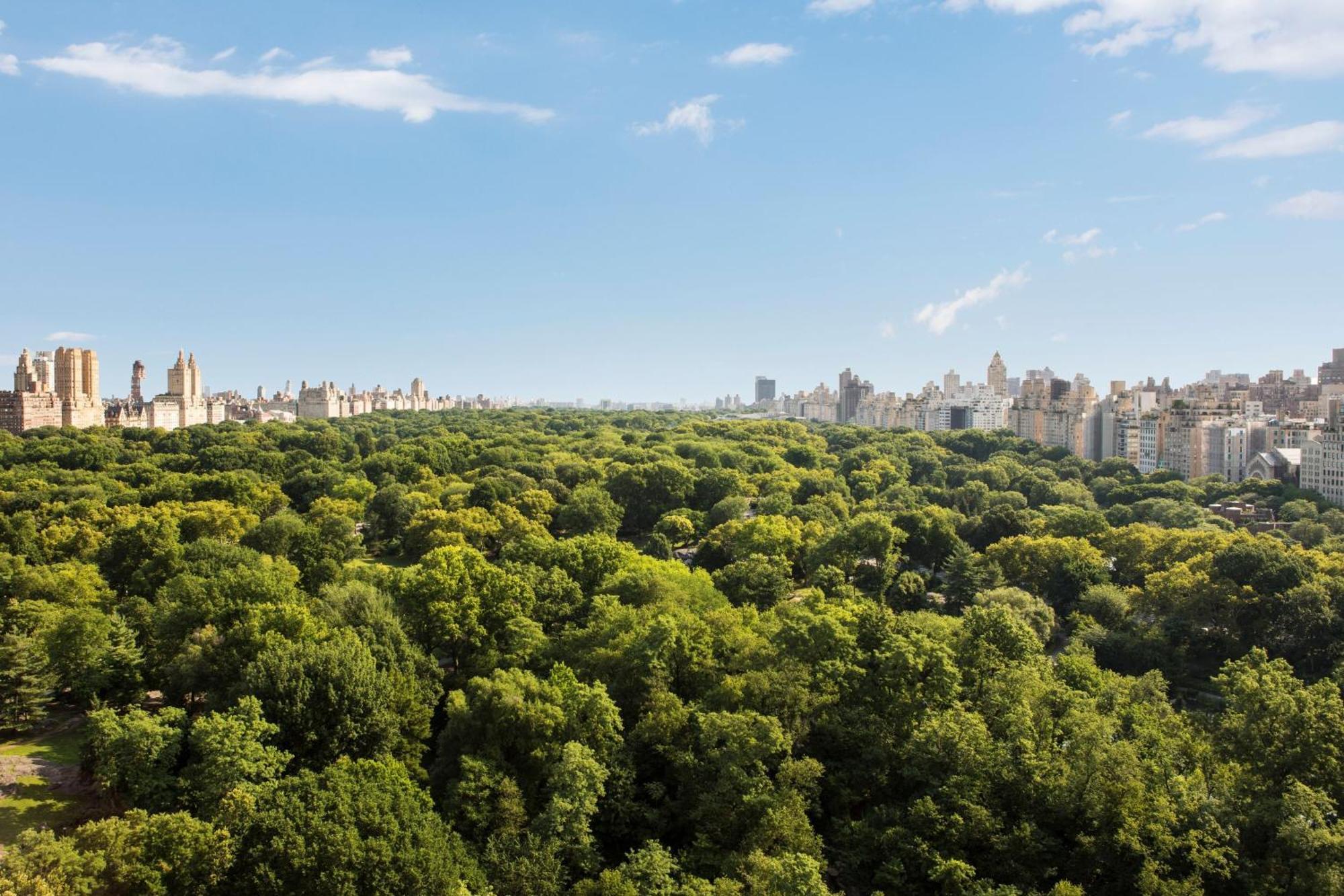 The Ritz-Carlton New York, Central Park Bagian luar foto